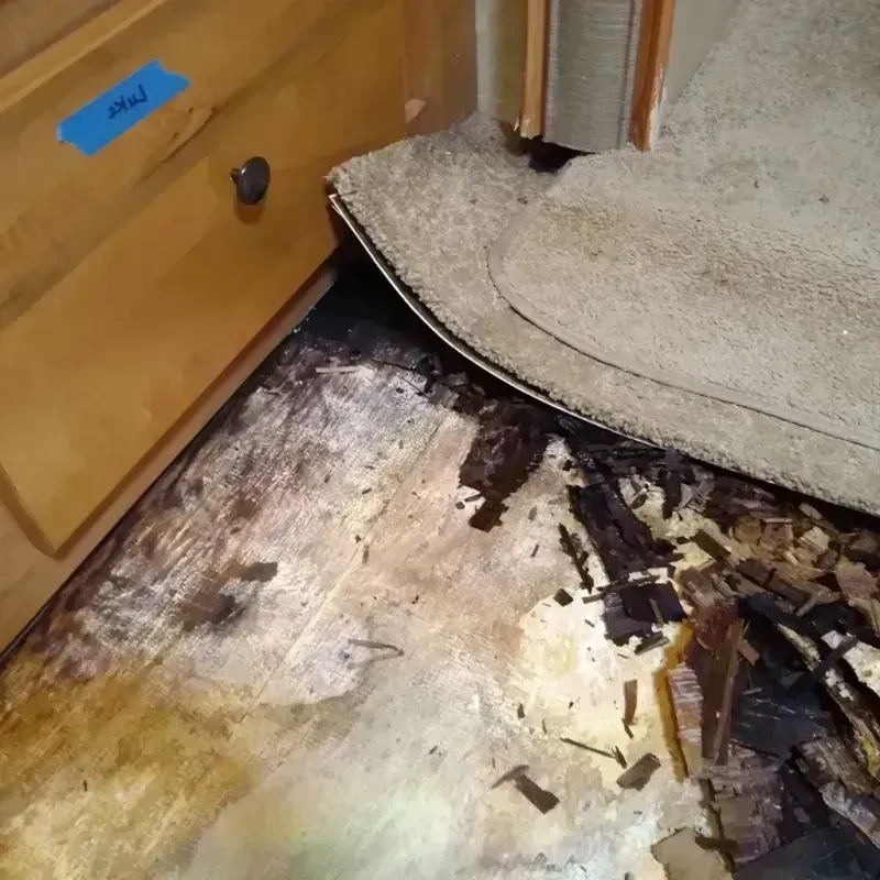 Wood Floor Water Damage in Greenfield, OH